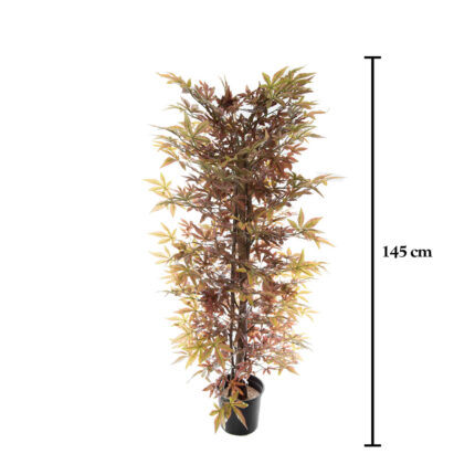 ARCE 1.45M