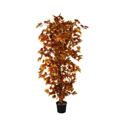 MAPLE MINI OTOÑAL 1.80M (64025) *MARRON