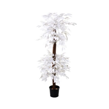FICUS DOS BOLAS 1.80M (51013) *BLANCO