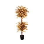 FICUS DOS BOLAS 1.80M