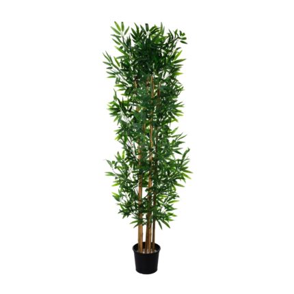 BAMBU 1.80MT *V.OSCURO