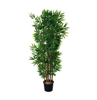 BAMBU 1.45MT