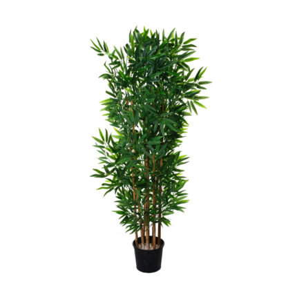 BAMBU 1.45MT