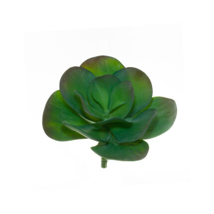 CACTUS GRASA AGAVE 30CM