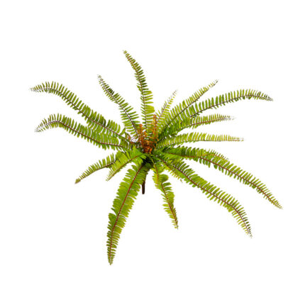 MATA HELECHOSA 44CM