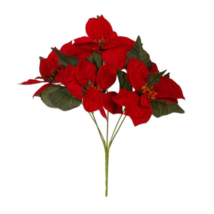 MATA PASCUERO X5 30CM