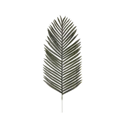 VARA HOJAS PALMERA COCOTERO