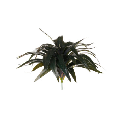 MATA DRACENA 30CM