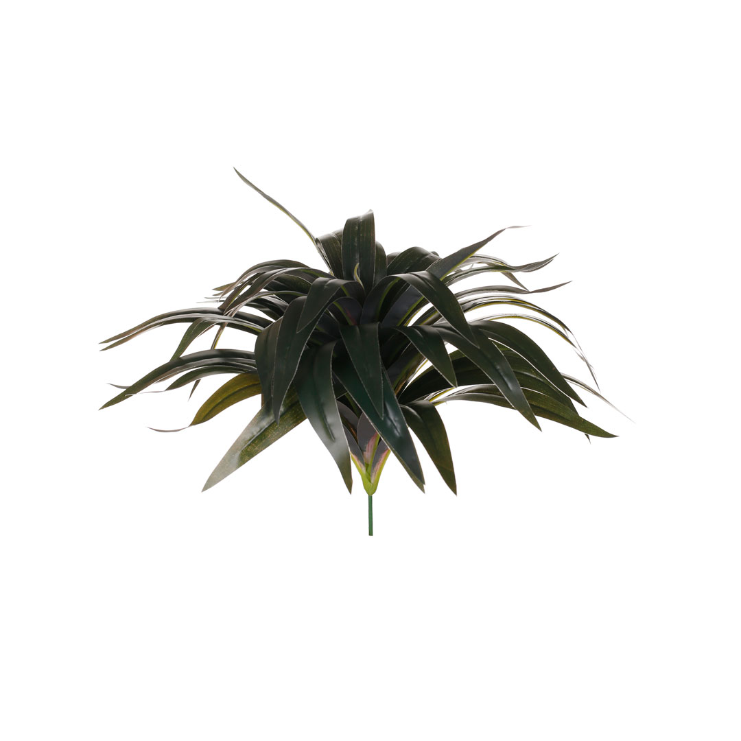 KBM037-19.jpg MATA DRACENA 30CM
