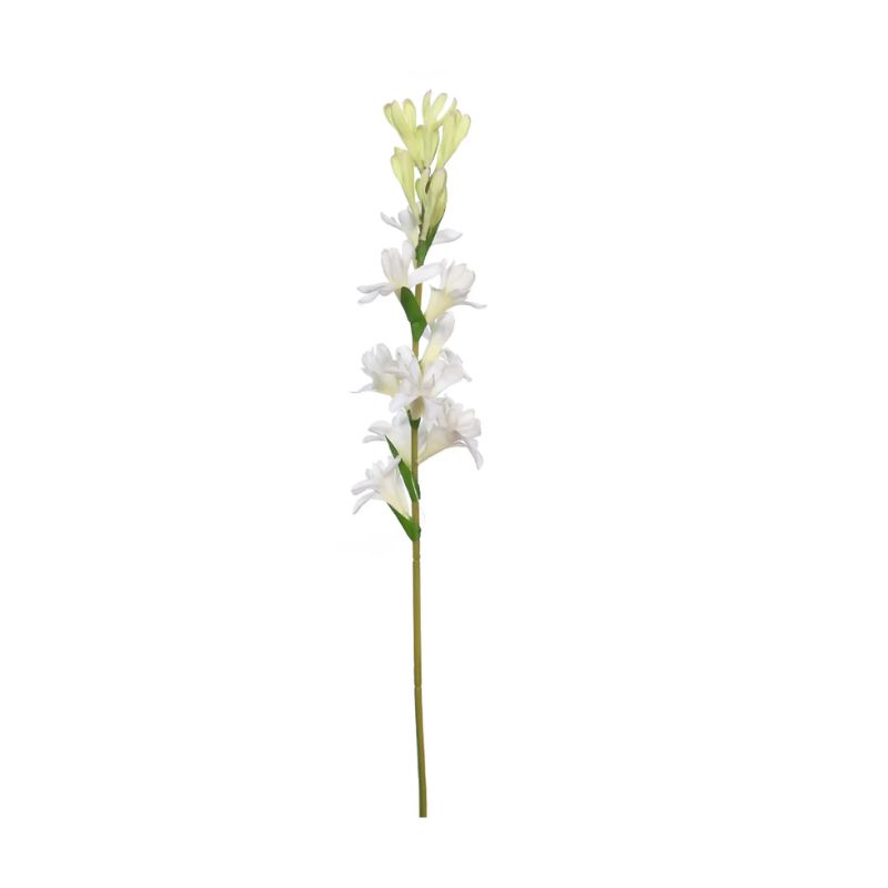LF0029-0.jpg VARA DE NARDO 67CM *BLANCO