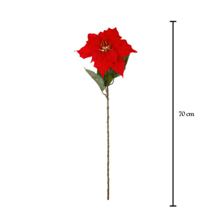 POINSETTIA