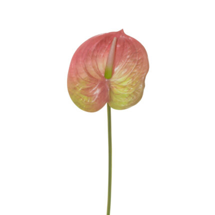 FLOR ANTURIO 64CM *ROSA