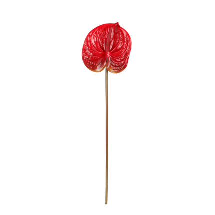FLOR ANTURIO 64CM