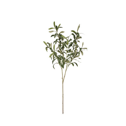 VARA OLIVO 80CM