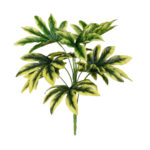 PLANTA ARALIA 34CM