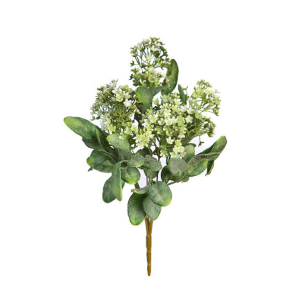 MATA CALANCHOE 30CM