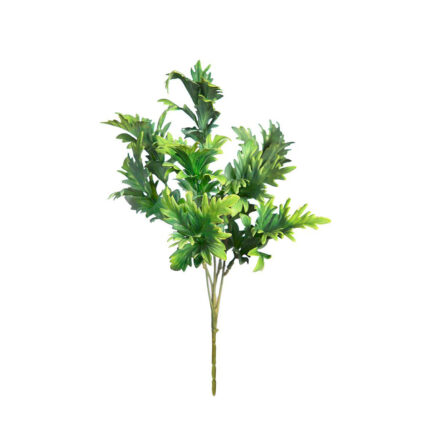QUERCUS 30CM