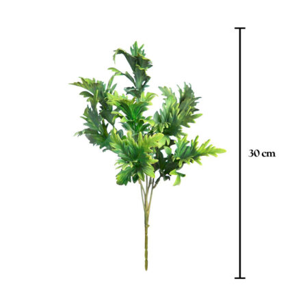 QUERCUS 30CM