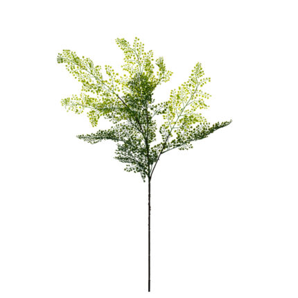 VARA RAMA DICHONDRIA 100CM