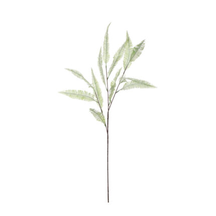 VARA RAMA HELECHO 100CM