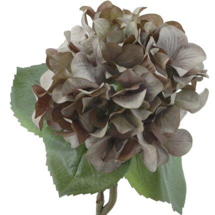 HYDRANGEA 58CM (05) *MARRON