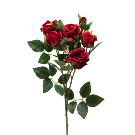 ROSITAS EN RAMA